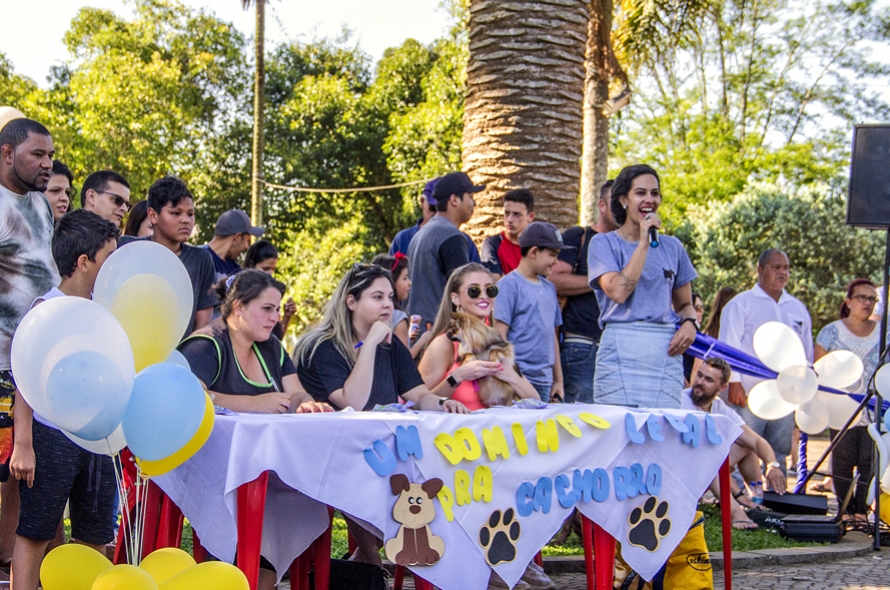 Um domingo legal pra cachorro