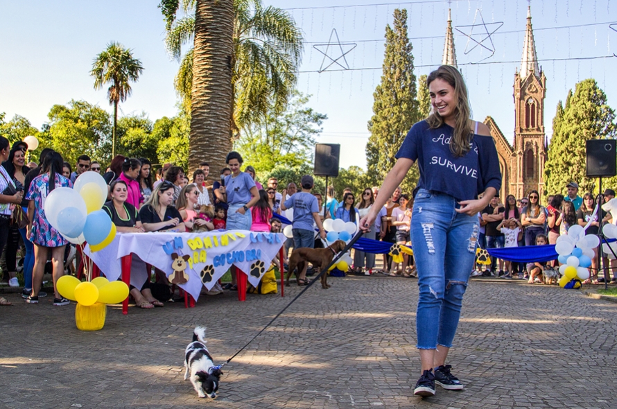 Um domingo legal pra cachorro