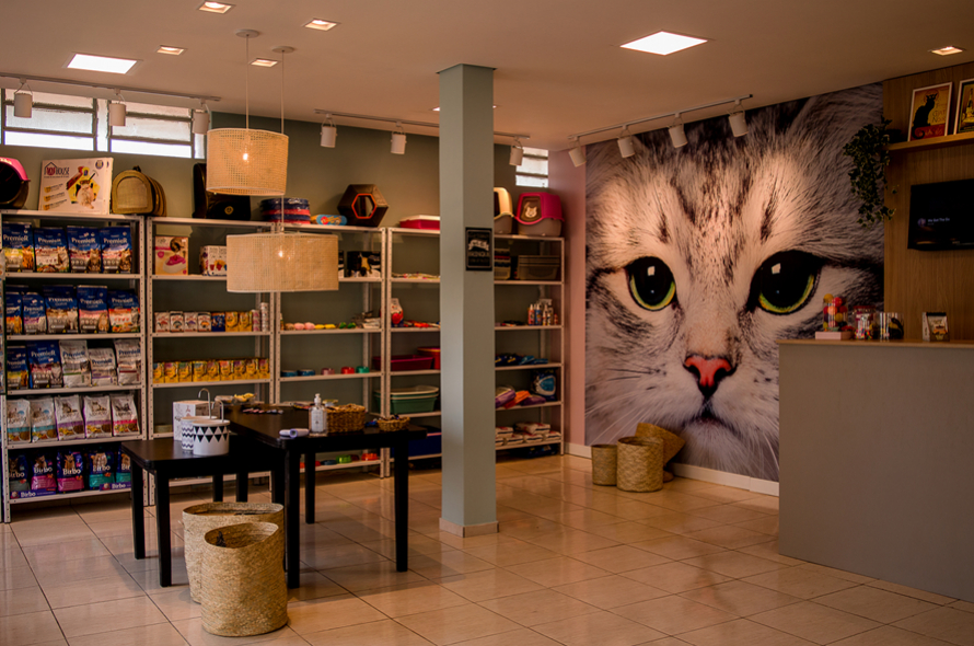 Uma nova opção para gatos e gateiros