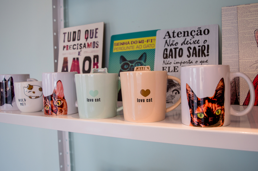 Uma nova opção para gatos e gateiros