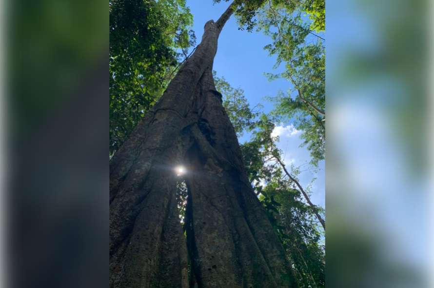 A verdadeira riqueza está na natureza