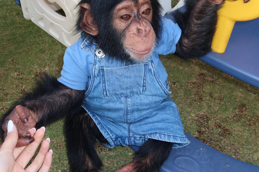 Cidade ultramoderna no meio do deserto