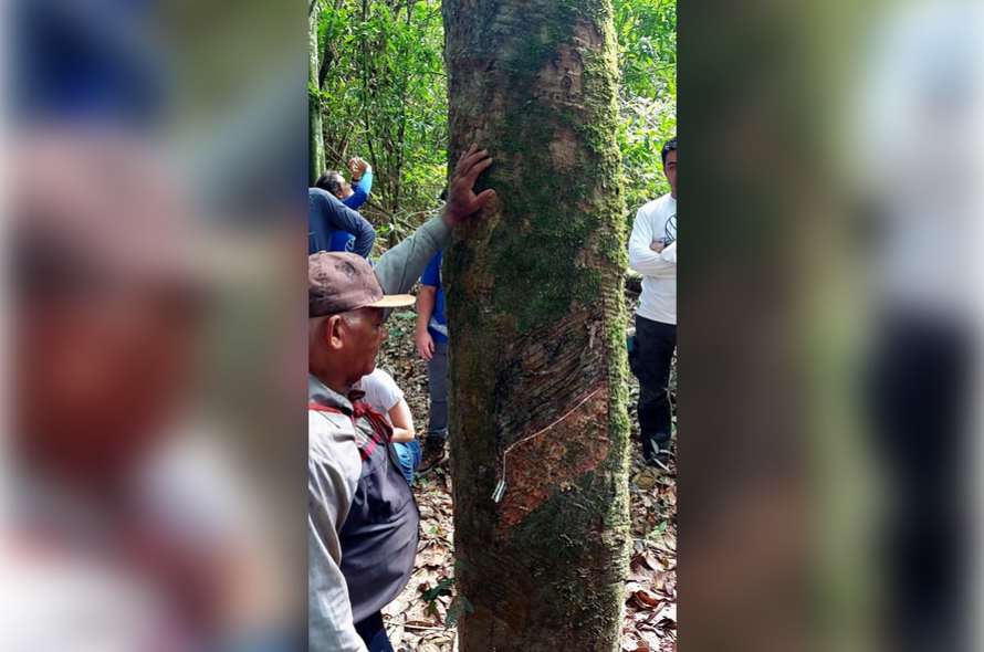 A verdadeira riqueza está na natureza