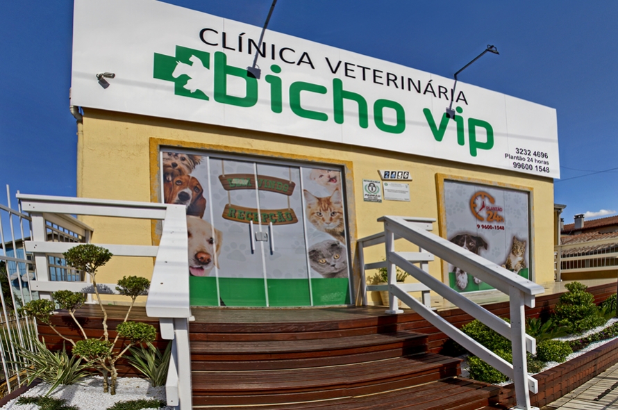 Saúde e segurança para o seu pet