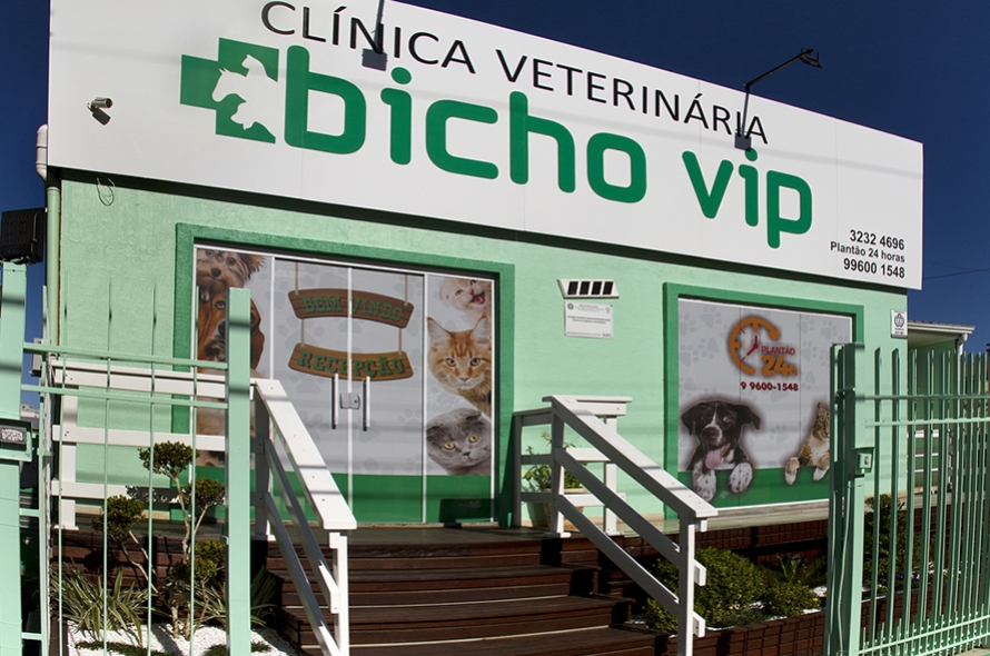 Adoção em tempos de pandemia
