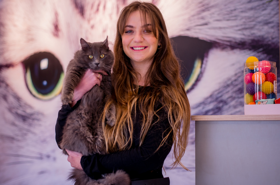 Uma nova opção para gatos e gateiros