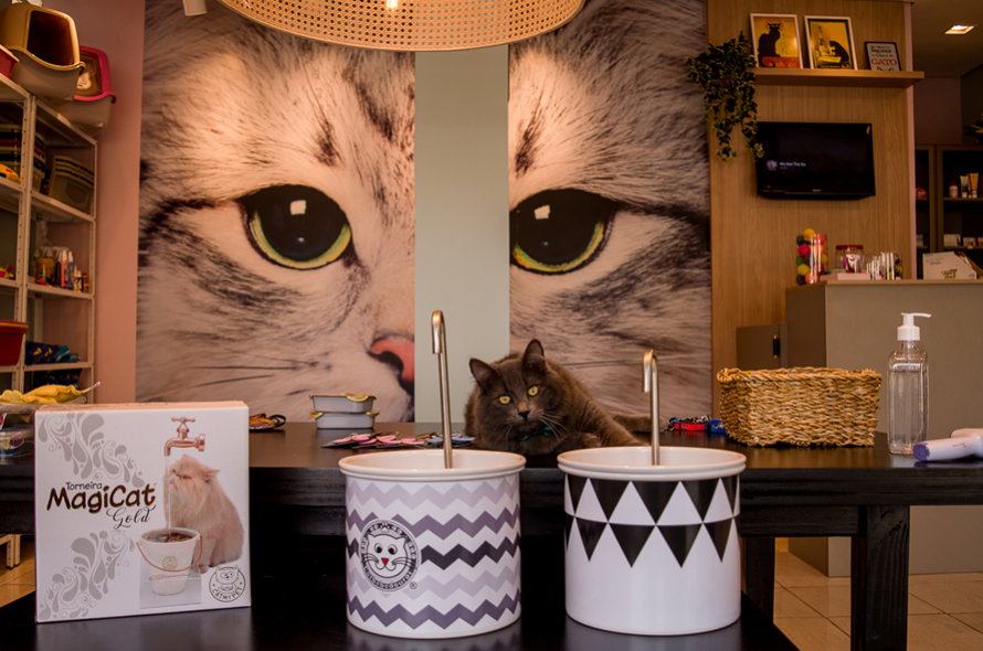 Uma nova opção para gatos e gateiros