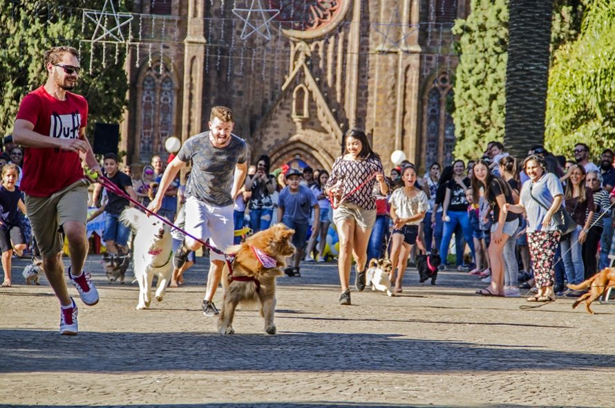 Um domingo legal pra cachorro